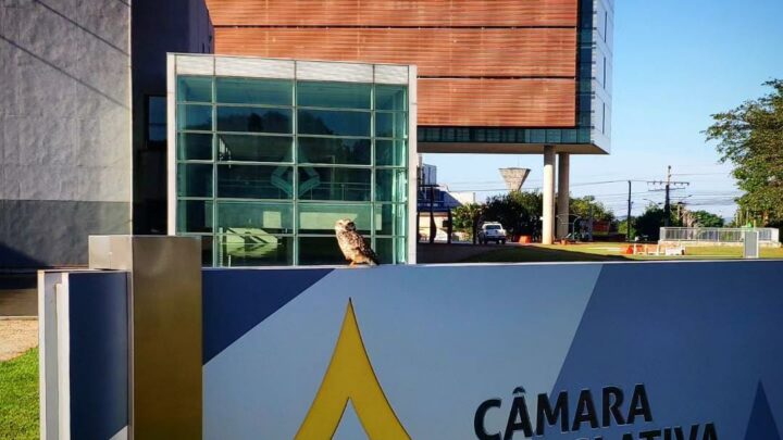 ‘Home office’ volta ao debate