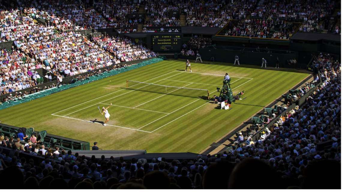 Guia de Wimbledon 2024: Onde Assistir, Quais Brasileiros Participam e Programação
