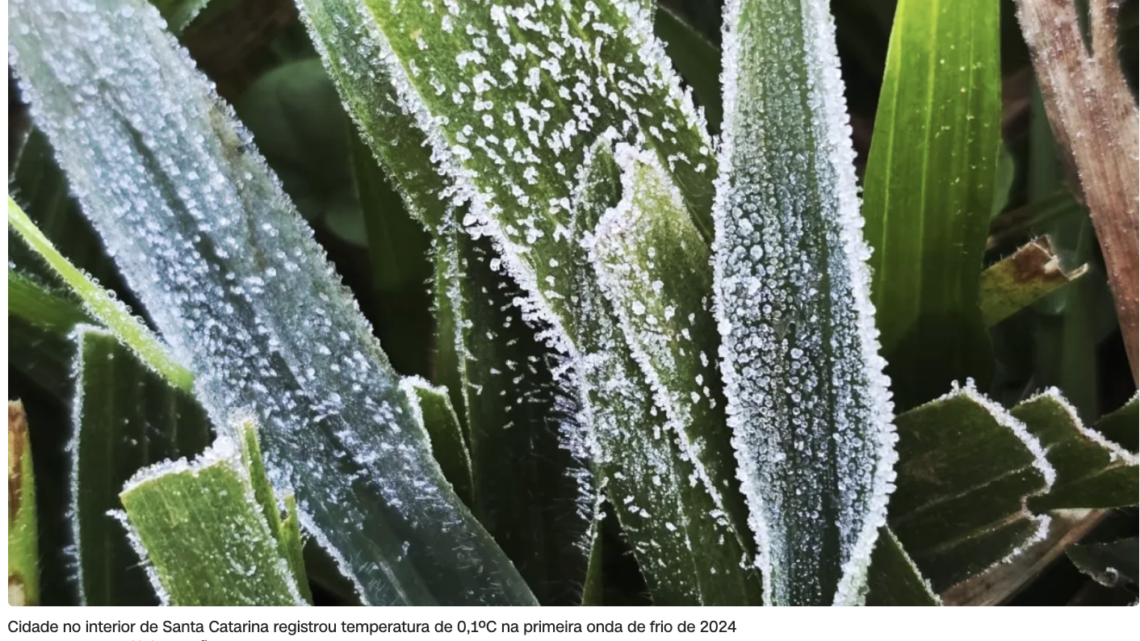 Onda de frio: estados têm alerta para queda de temperatura nesta segunda-feira