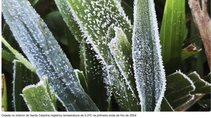 Onda de frio: estados têm alerta para queda de temperatura nesta segunda-feira