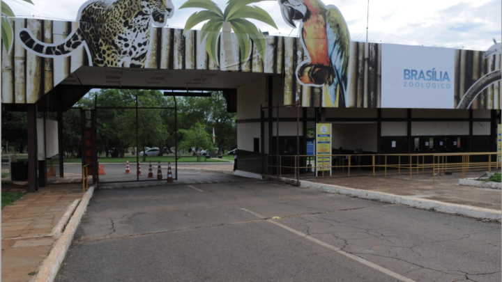 Zoológico de Brasília: beleza selvagem, conscientização ambiental e diversão garantida
