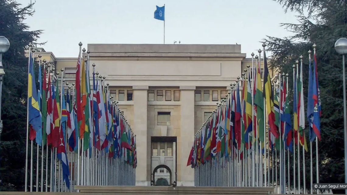 Brasil apresenta ODS para combater desigualdade étnico-racial