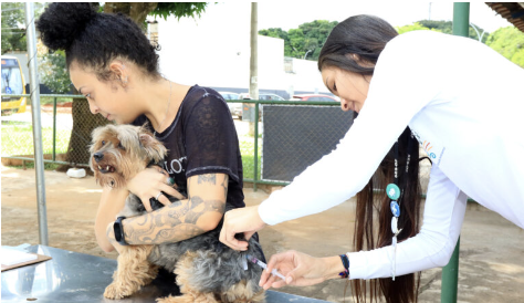 A importância da vacinar os pets e prevenir zoonoses