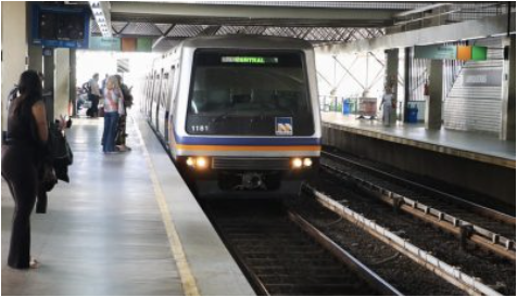 Transporte de animais de estimação no metrô tem regras especiais