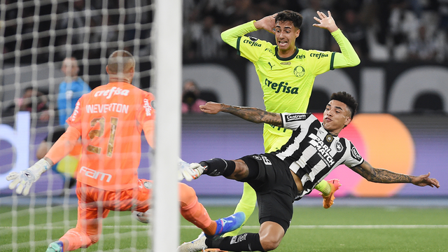 Botafogo vence Palmeiras e segue para o Allianz Parque com a vantagem do empate