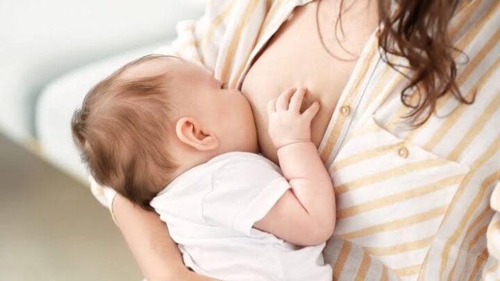 Seminários comemoram o “Agosto Dourado” e abordam temas referentes ao aleitamento materno