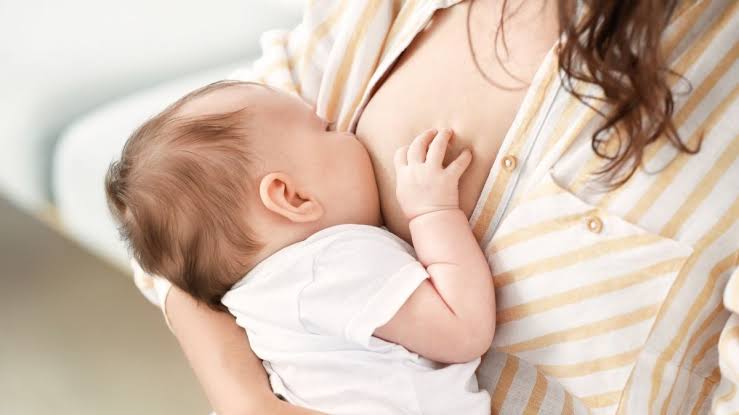 Seminários comemoram o “Agosto Dourado” e abordam temas referentes ao aleitamento materno