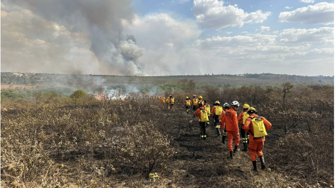 GDF investiga ação criminosa no incêndio do Parque Nacional de Brasília