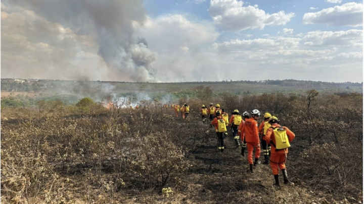 GDF investiga ação criminosa no incêndio do Parque Nacional de Brasília