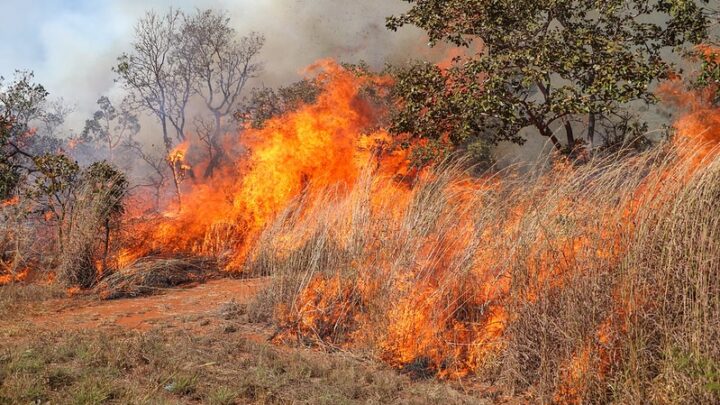 Força-tarefa vai investigar incêndios com indícios de crime no DF