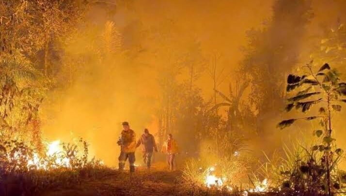 Brasil envia equipe de bombeiros para combater incêndios na Bolívia