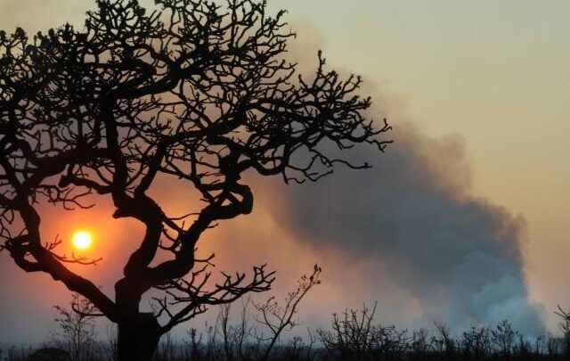A umidade em Brasilia ficou pior que a do deserto do Saara