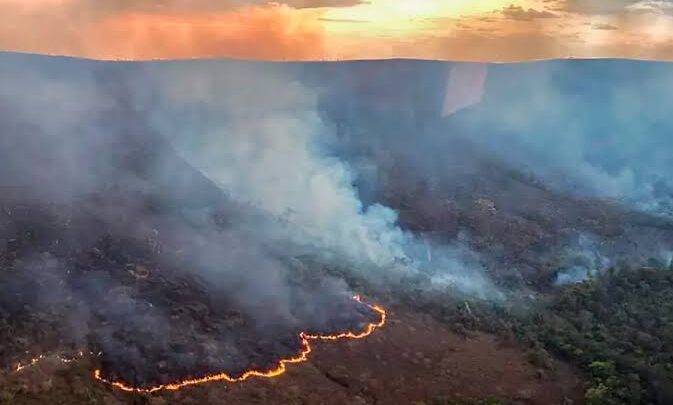 Queimadas no Brasil: STF quer mais bombeiros na Força Nacional e Lula uma nova estatal