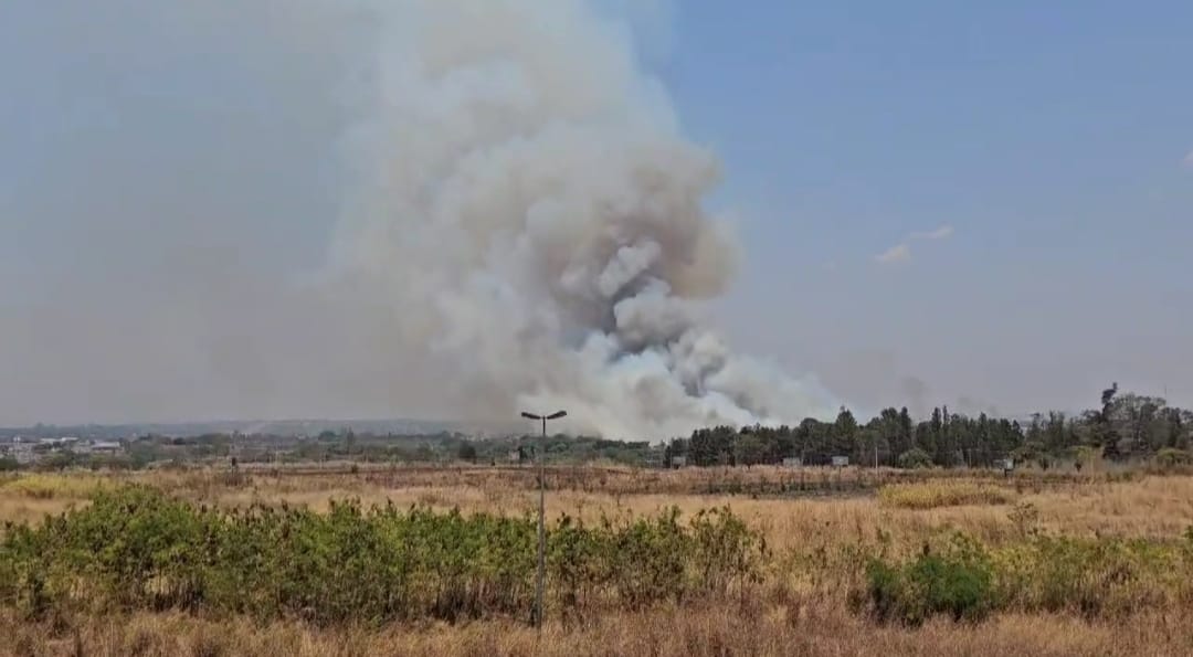 Parque do Guará em chamas
