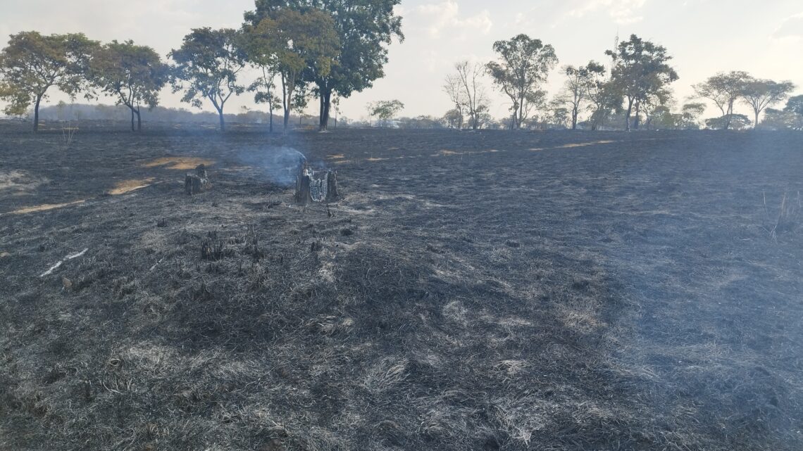 Incêndio destrói uma enorme área do Parque Ecológico Ezechias Heringer