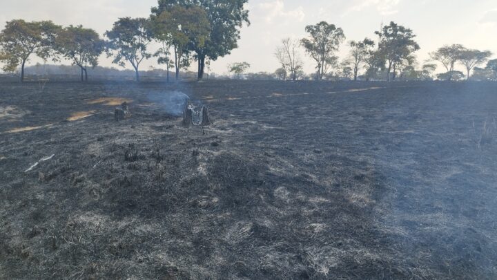 Incêndio destrói uma enorme área do Parque Ecológico Ezechias Heringer