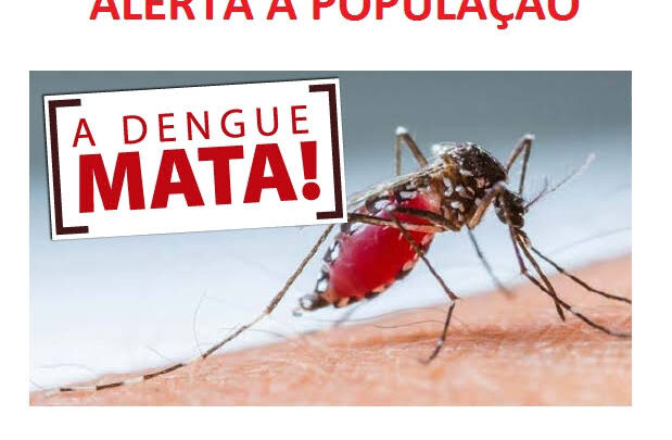 Sem prevenção e conscientização da população, os casos de DENGUE podem voltar a assustar o DF e o Brasil