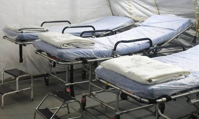 Só em 2024, quase 6 mil brasileiros já morreram por causa da Dengue
