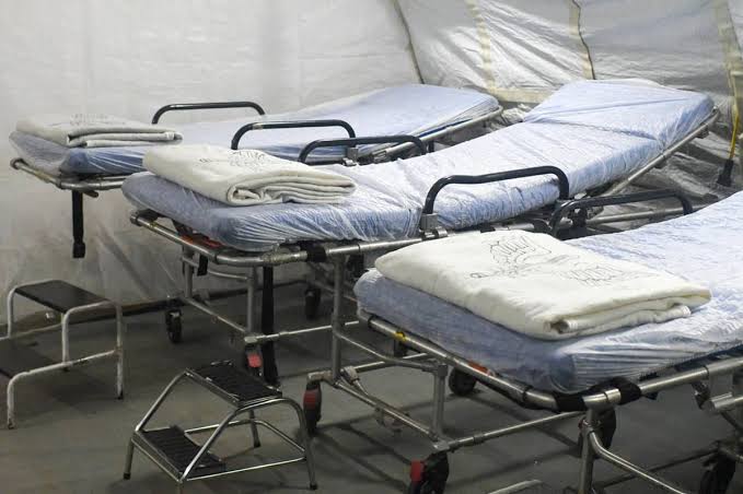 Só em 2024, quase 6 mil brasileiros já morreram por causa da Dengue