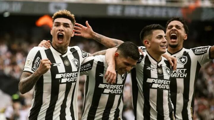 Botafogo, o legítimo campeão: “ano passado eu morri, mas esse ano eu não morro”