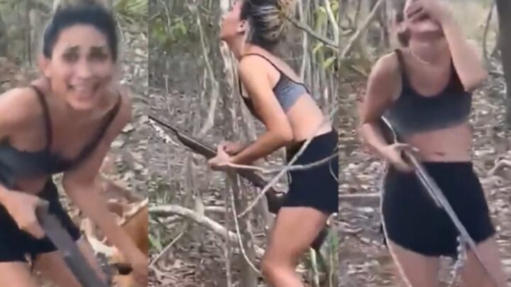 Assassina cruel da onça-parda já foi identificada