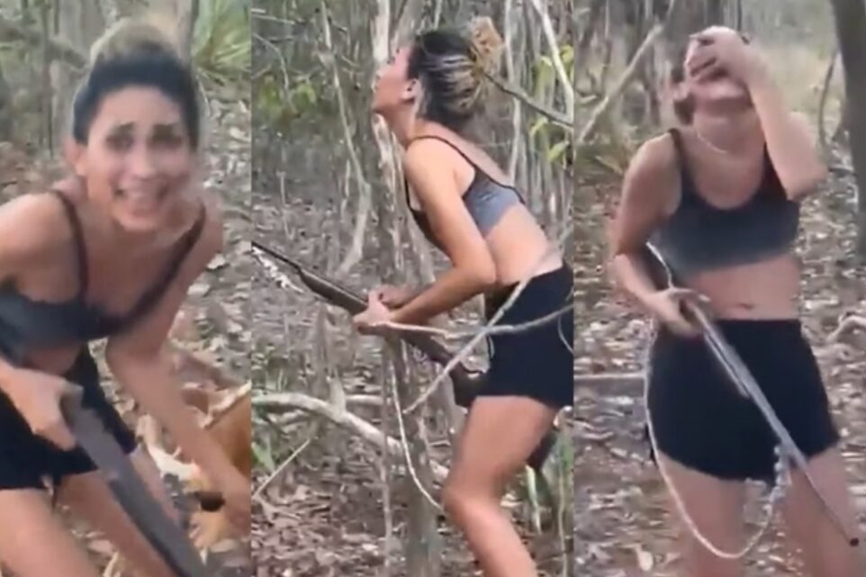 Assassina cruel da onça-parda já foi identificada