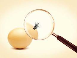 Quem disse que não existe pelo em ovo?