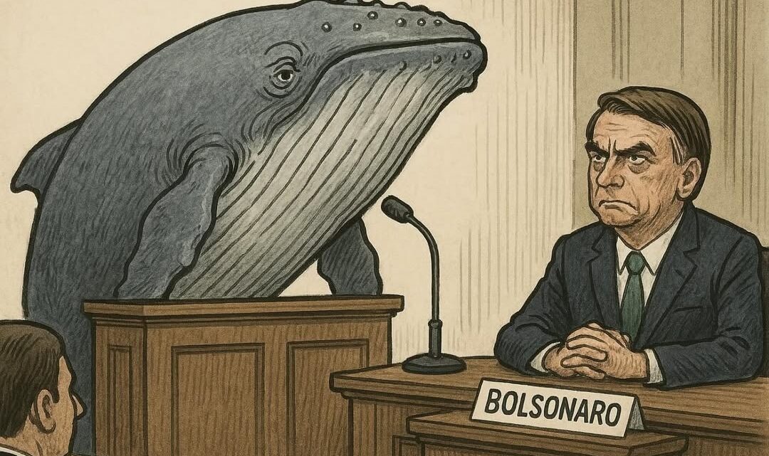 Bolsonaro: de Capitão Ahab a Aquaman? MPF arquiva processo de importunação da baleia